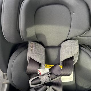 Submitted by UberDad