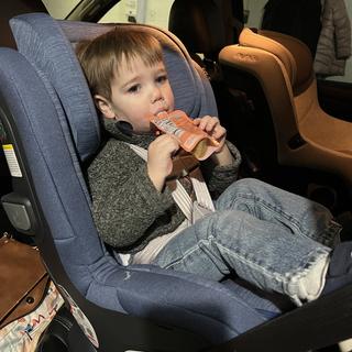 Submitted by torielea