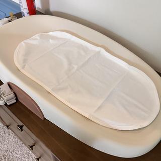 Submitted by Vjoseph266