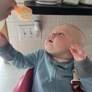 Submitted by Jammasterjules