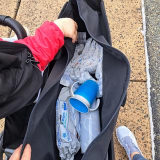 Submitted by PumpingMama