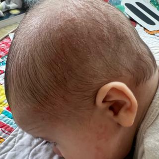 Submitted by Rebecca A