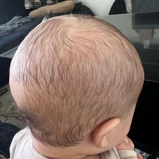 Submitted by Rebecca A