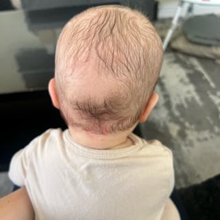 Submitted by Rebecca A