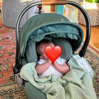 Submitted by Dan April