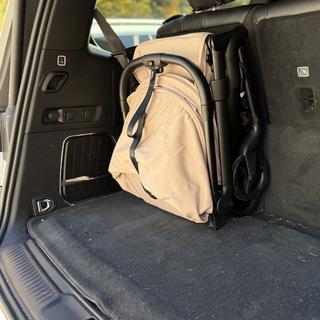 Submitted by Alyssa Spurrell