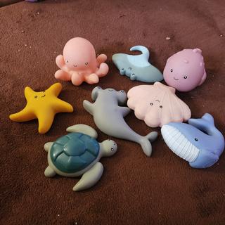 Submitted by Katiedids19