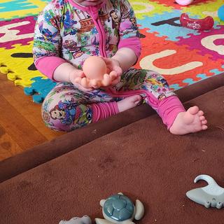 Submitted by Katiedids19