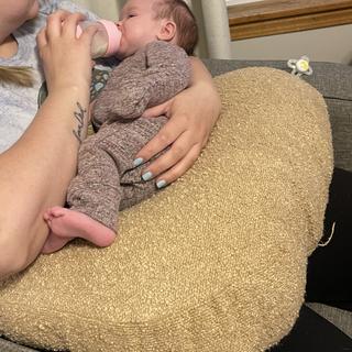 Submitted by Chandler