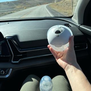 Submitted by Lauren W