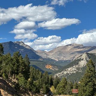 Submitted by Lauren W