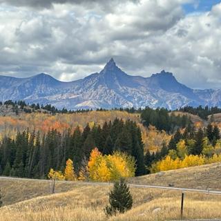 Submitted by Lauren W