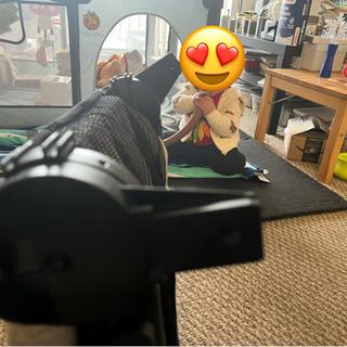 Submitted by Sydney S