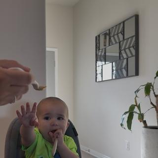 Submitted by Mari