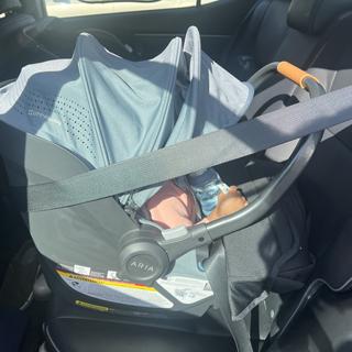 Submitted by Naphtalilly