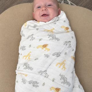 Submitted by Boymama44