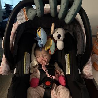 Submitted by MamaM