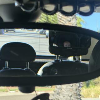 Submitted by Codeman