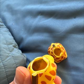 Submitted by Chelsea F