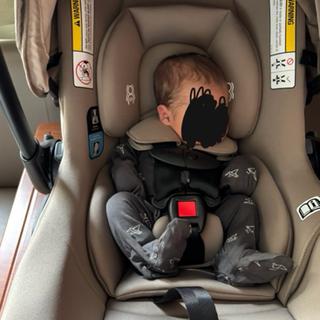 Submitted by Larissa T