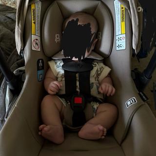 Submitted by Larissa T