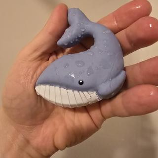 Submitted by Bruzzle