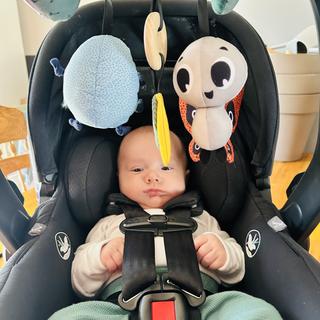 Submitted by SydAndTheKids