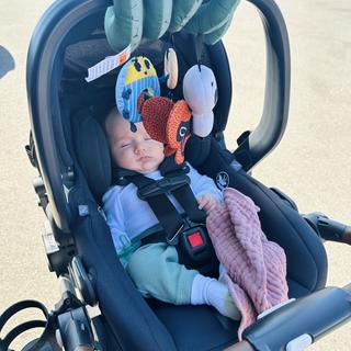Submitted by SydAndTheKids