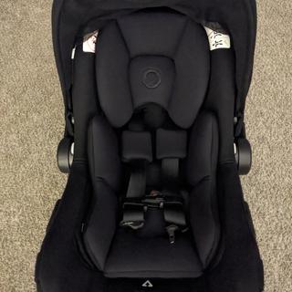 Submitted by Jewlzrose