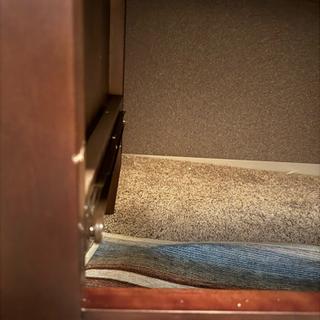 Submitted by Mallory G