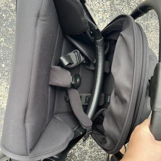 Submitted by Kristina