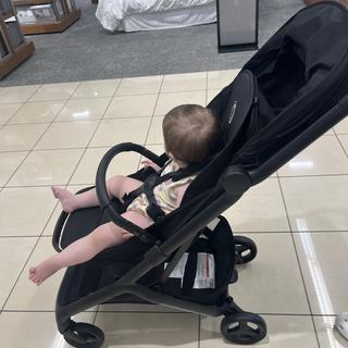 Submitted by Kristina