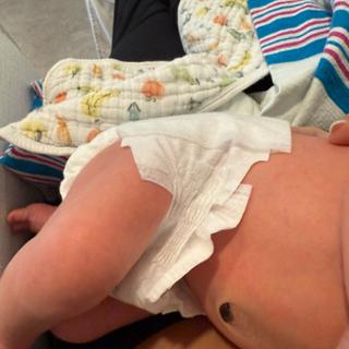 Submitted by Sasha L