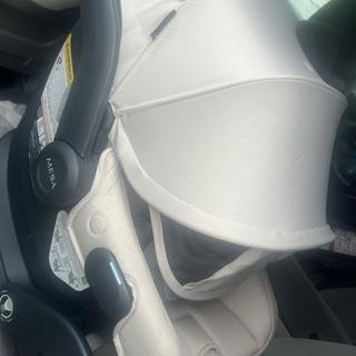 Submitted by Megan S