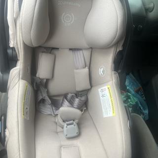 Submitted by Megan S