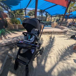 Submitted by Philoslothica