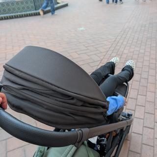 Submitted by Philoslothica