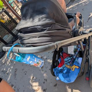 Submitted by Philoslothica