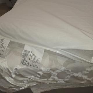 Submitted by Astghik H