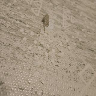 Submitted by Tracie K