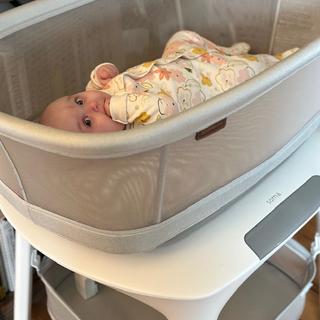 Submitted by nessdoesalot