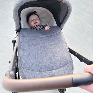 Submitted by BeeMama3