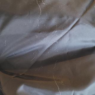 Submitted by CareBear