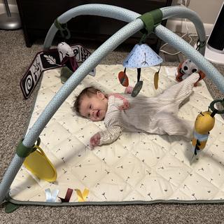 Submitted by MamaM
