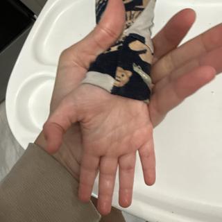 Submitted by Danielle W