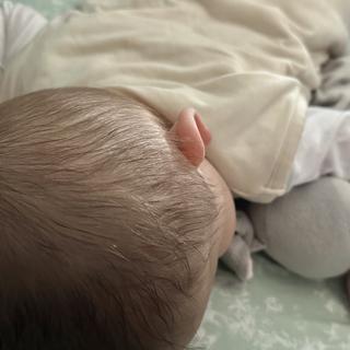 Submitted by Nanooo48