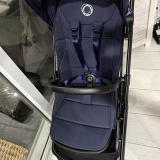 Submitted by Nicolez