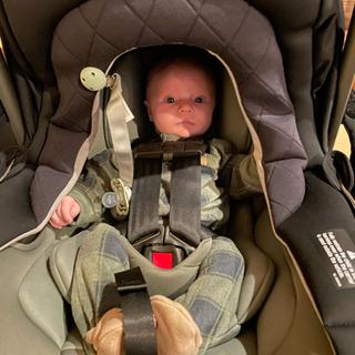 Submitted by Julia M. H