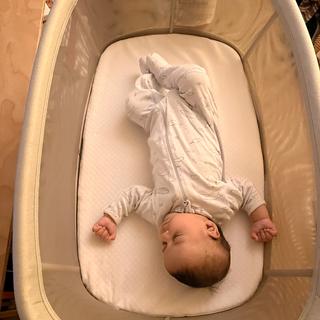 Submitted by jackandarchie