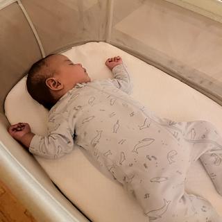 Submitted by jackandarchie